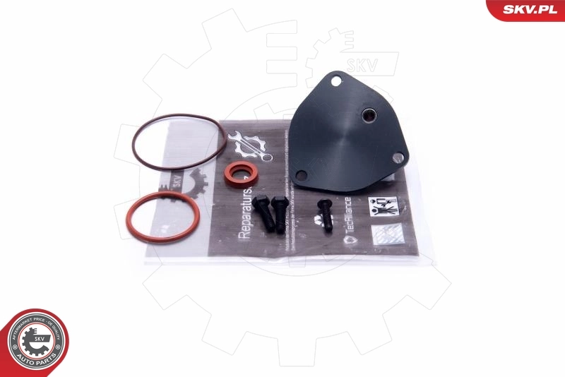 Repair Set, vacuum pump (braking system)